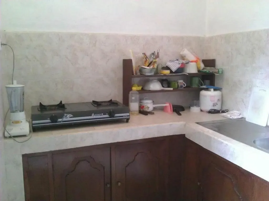 Runa Guesthouse Ubud  Indonesia